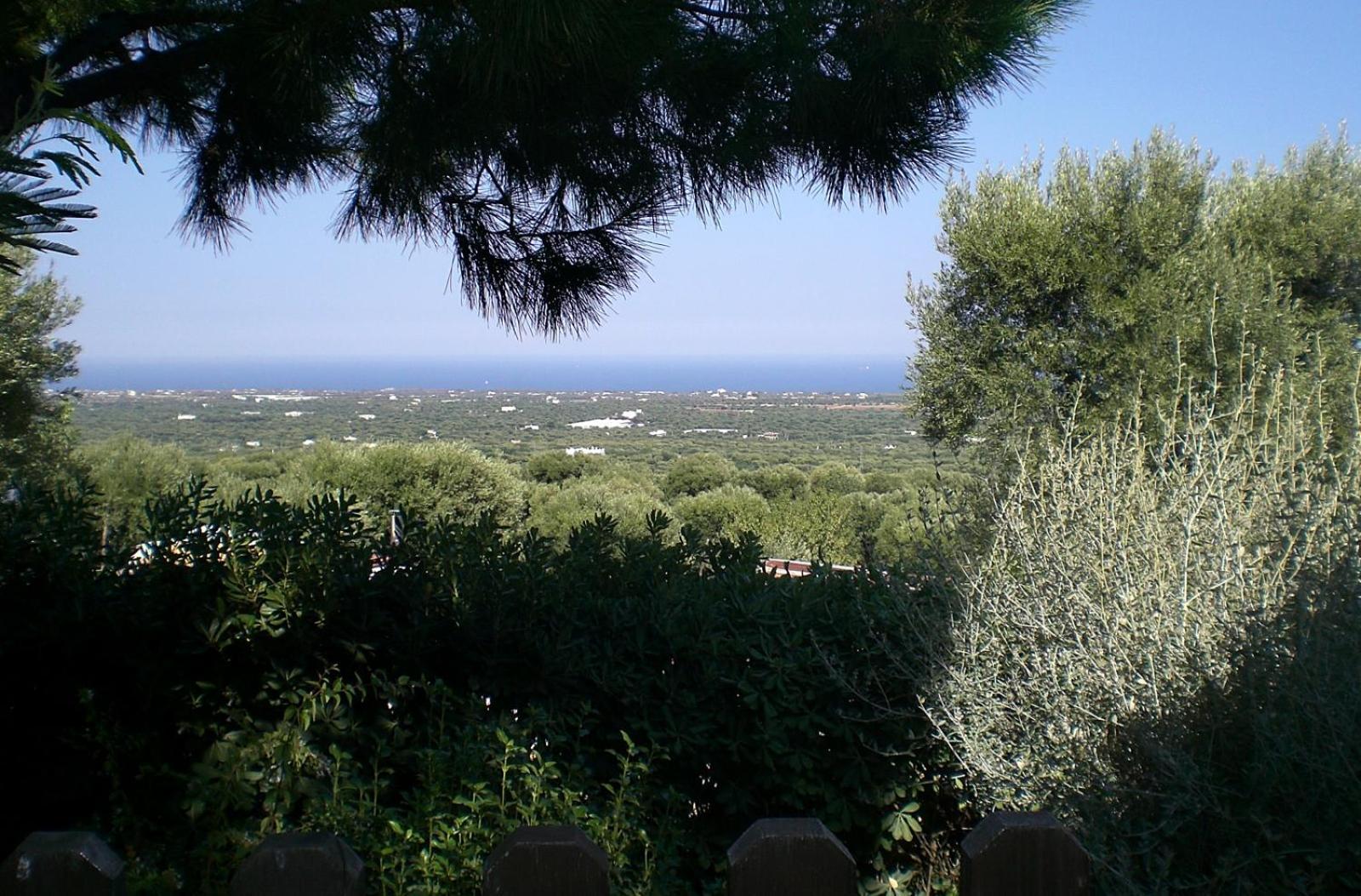 La Casetta Bed & Breakfast Monopoli