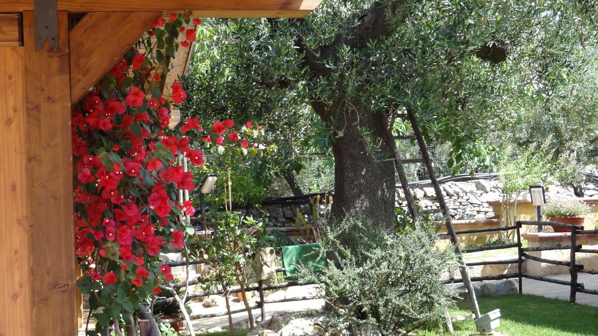 La Casetta Bed & Breakfast