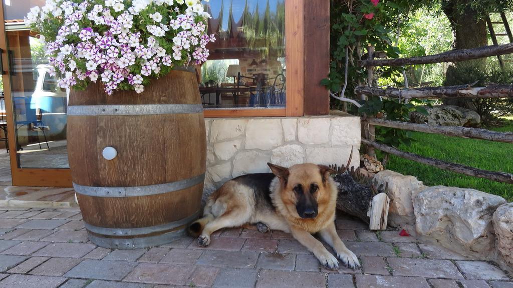 Bed & Breakfast La Casetta